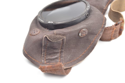 Schutzbrille mit Tragetasche