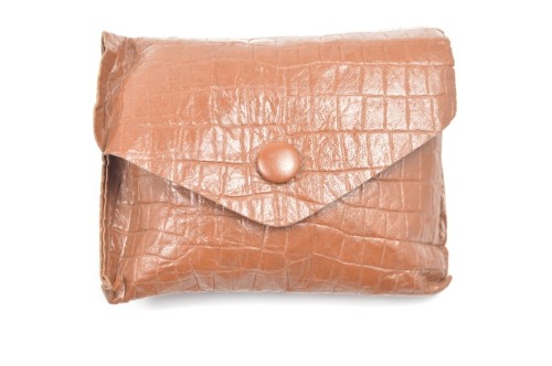 Schutzbrille mit Tragetasche