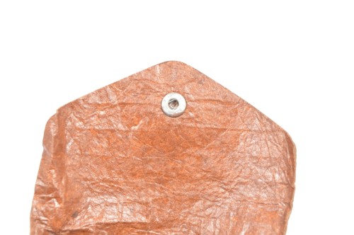 Schutzbrille mit Tragetasche