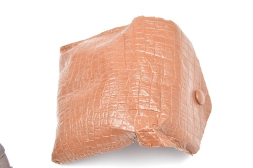 Schutzbrille mit Tragetasche