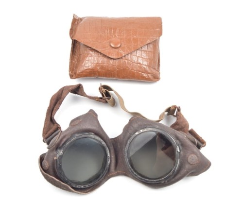 Schutzbrille mit Tragetasche