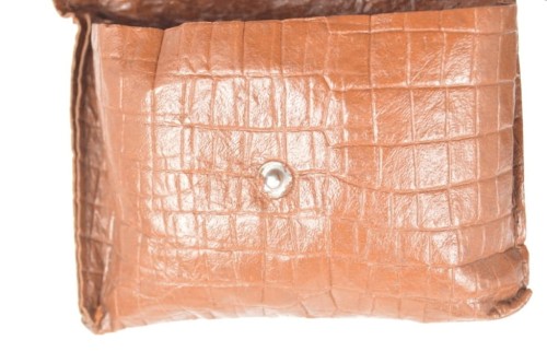 Schutzbrille mit Tragetasche