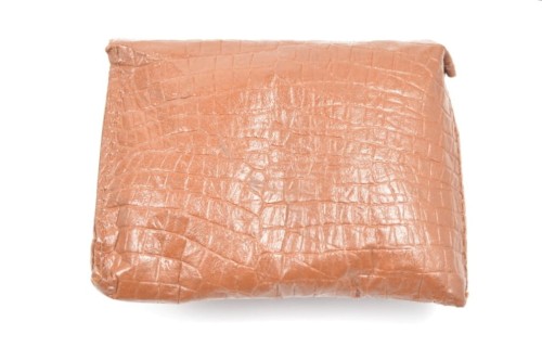 Schutzbrille mit Tragetasche