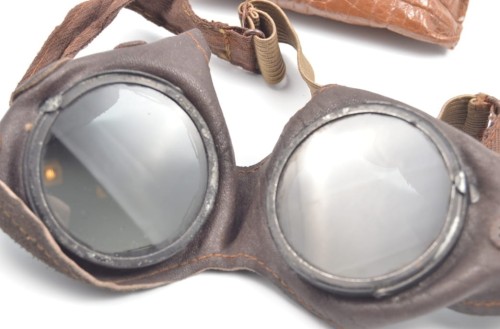 Schutzbrille mit Tragetasche