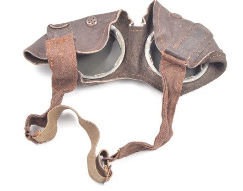 Schutzbrille mit Tragetasche