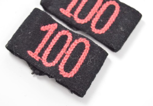 Panzer-Regiment 100